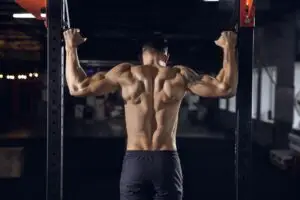 Read more about the article Praesent libro se cursus ante